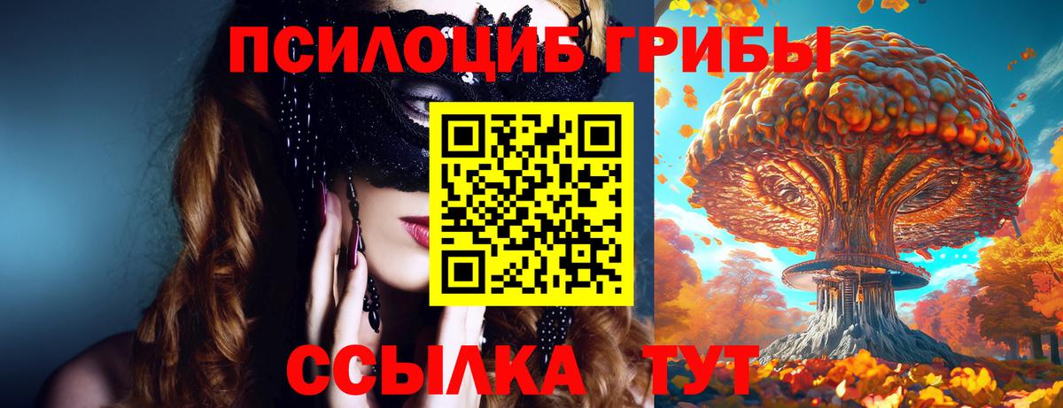 Тосно  Псилоцибиновые грибы ЛСД  купить   Вход с VPN 